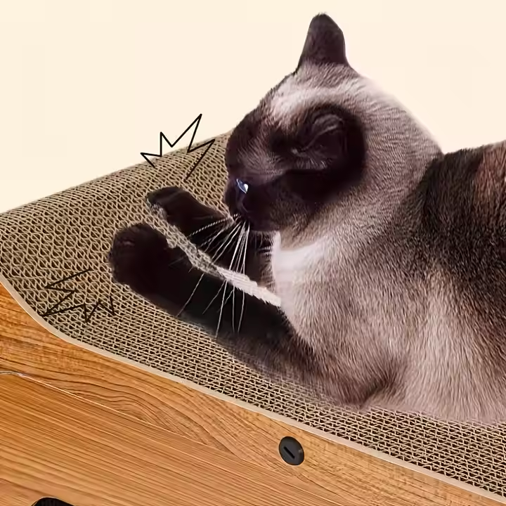 444.png